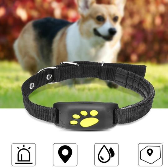 Rastreador GPS: Localizador GPS en tiempo real para perros y gatos, resistente al agua y antipérdida.