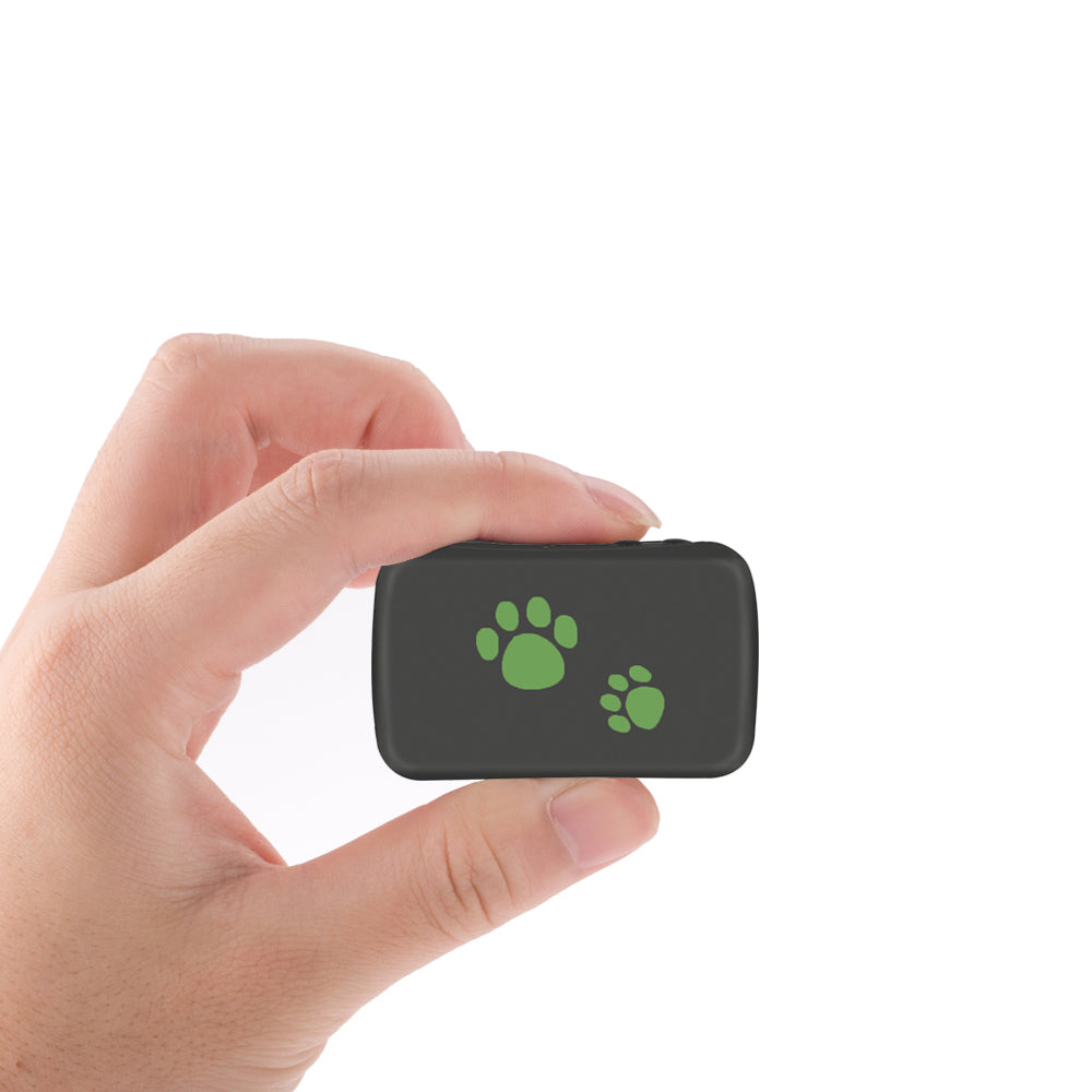 Pet GPS Tracker Anti-Lost • Real-Time Location • PVC Waterproof • Easy App Tracking for Dogs & Cats